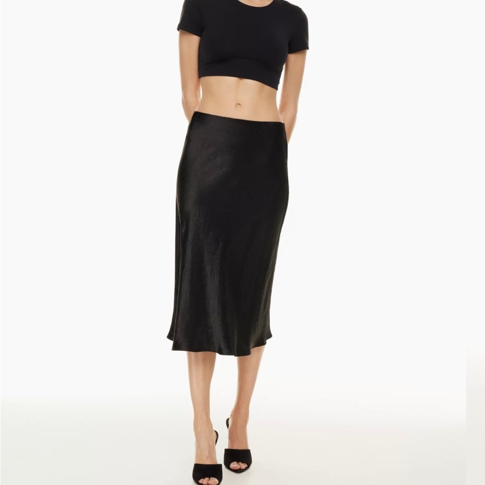 Aritzia Skirt